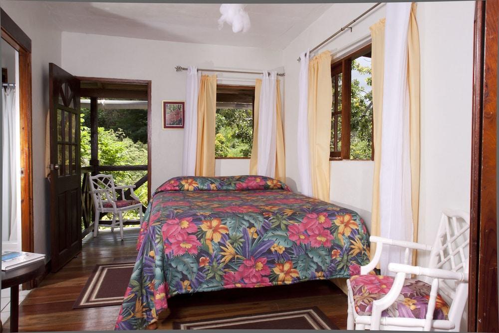 Forres Park Hotel Кінгстон Екстер'єр фото